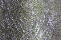 Rolleston fibreglass roof work